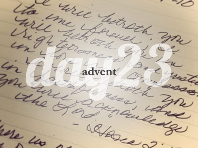 23