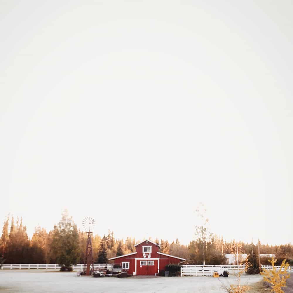 SRT-Advent16-dayimage29