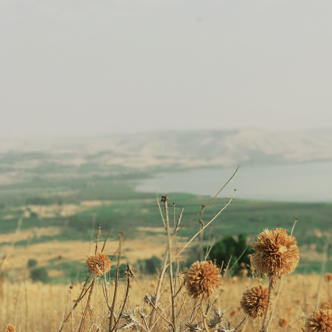jesus-preaches-the-sermon-on-the-mount-part-2-she-reads-truth-she