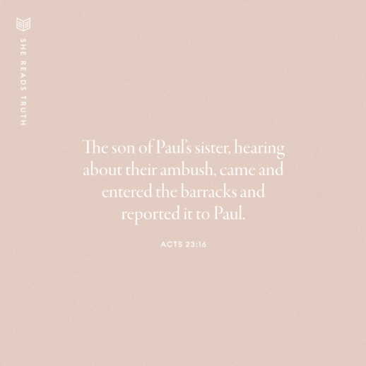 The Plot Against Paul - She Reads Truth -She Reads Truth
